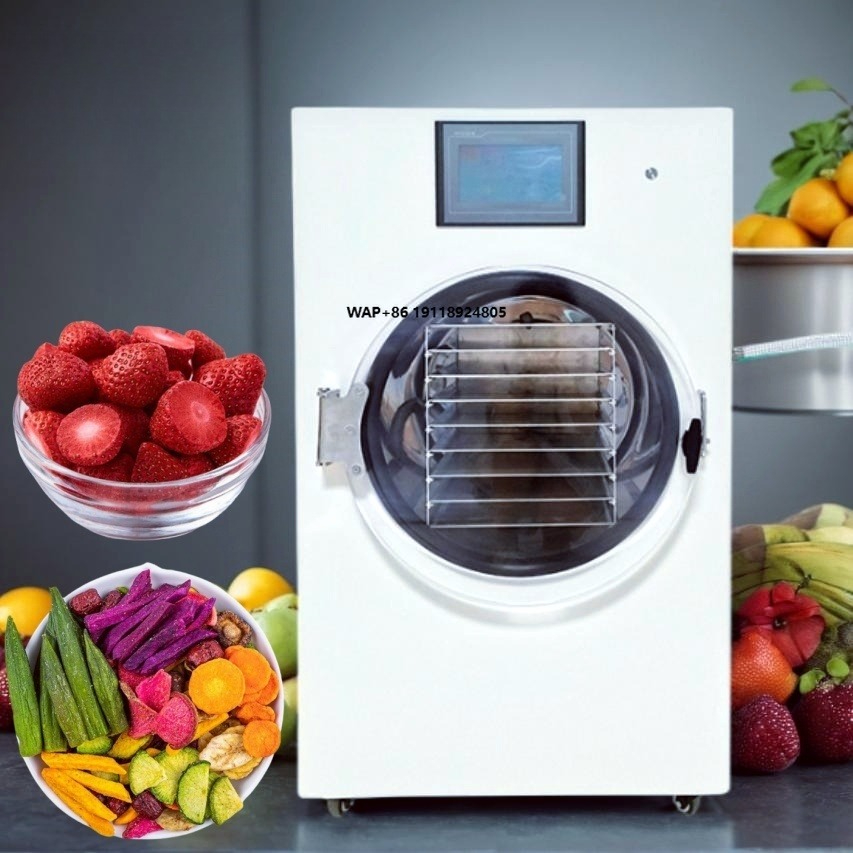 Commercial Food Dehydrator - Komercyjna Przemysłowa Mini Zamrażarka Uk Lyofilizator