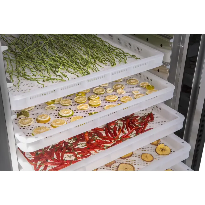 Przemysłowa komercyjna suszark – Commercial Food Dehydrator recenzja i cena