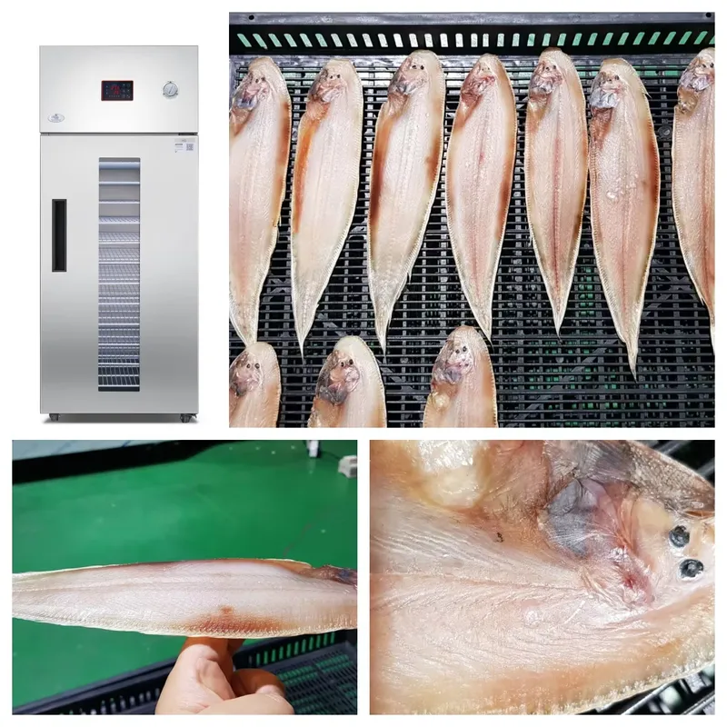 Przemysłowa komercyjna suszark – Commercial Food Dehydrator recenzja i cena