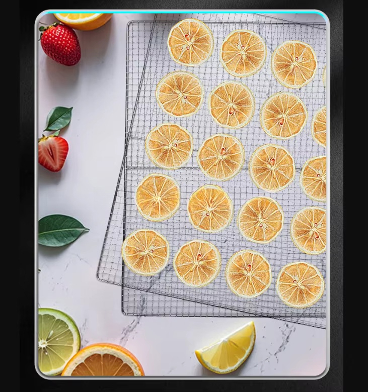 Profesjonalne suszarki do mięs – Commercial Food Dehydrator recenzja i cena