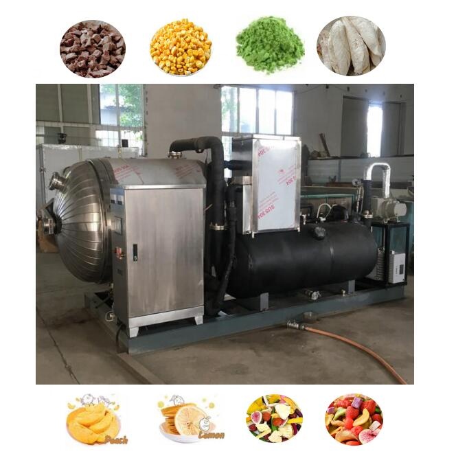 Dostosowana Suszarka Liofiliza – Commercial Food Dehydrator recenzja i cena
